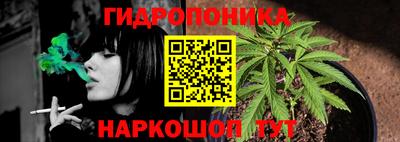 spice Мариинск