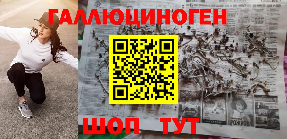 Псилоцибиновые грибы GOLDEN TEACHER  Псилоцибиновые грибы ЛСД  продажа наркотиков  Владикавказ  Вход с VPN 